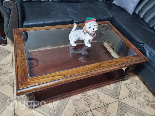 Mesa de centro de madera tallada