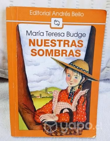 NUESTRAS SOMBRAS AUTOR: María Teresa Budge