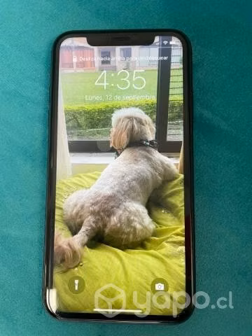 IPhone 11 64 Gb