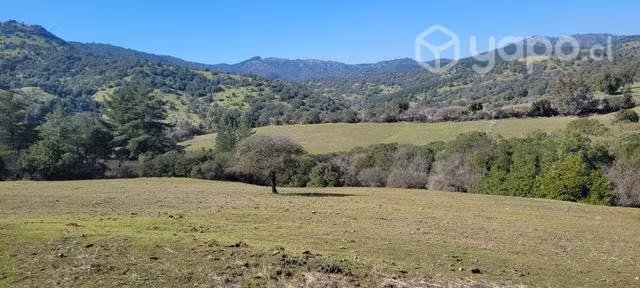 Terreno 30ha en los cristales talca pencahue maule