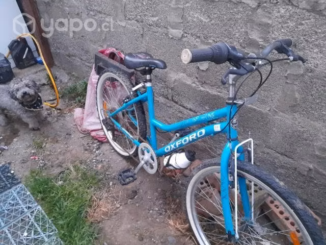 Bicicleta aro 24, - Imagen 5