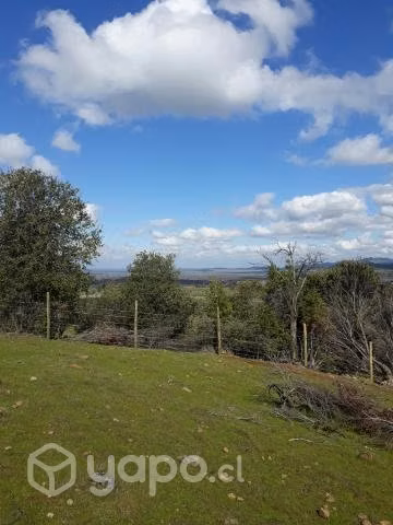 Parcelas en Carrizal, San Javier, Región del Maule - Imagen 6