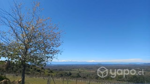 Parcelas en Carrizal, San Javier, Región del Maule - Imagen 8