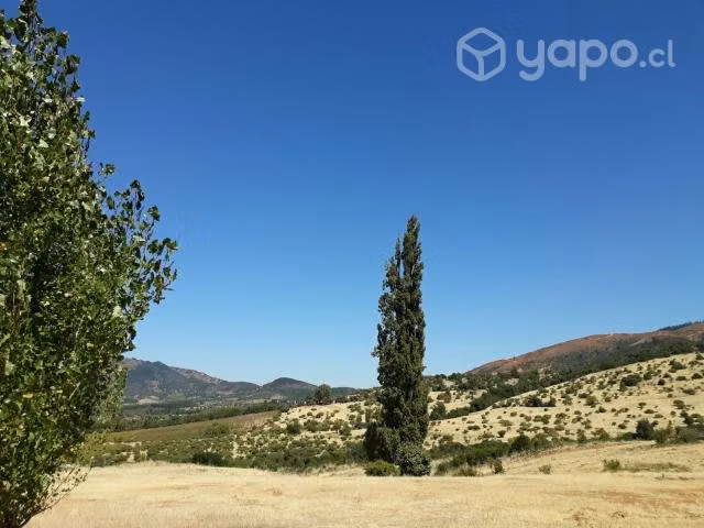 Parcelas en Carrizal, San Javier, Región del Maule - Imagen 10