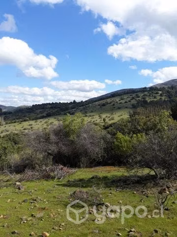 Parcelas en Carrizal, San Javier, Región del Maule - Imagen 4