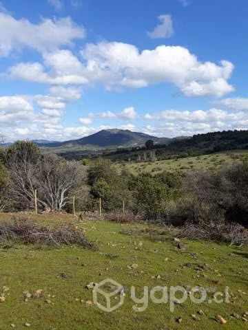 Parcelas en Carrizal, San Javier, Región del Maule - Imagen 5