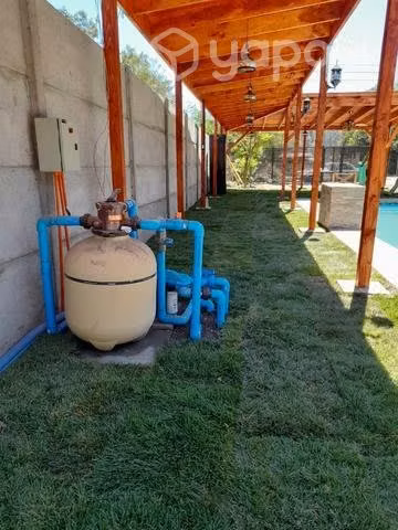 Pasto alfombra