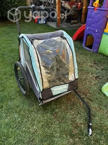 Carrito de Paseo