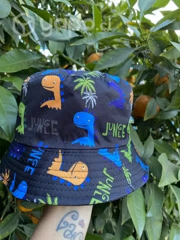gorros