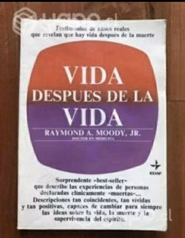 Vida después de la Vida