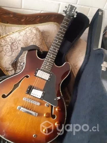 Guitarra Samick