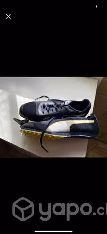 Zapatilla marca puma