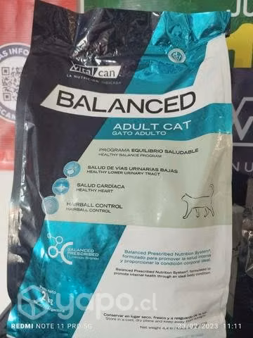 Balanced gato adulto 2k