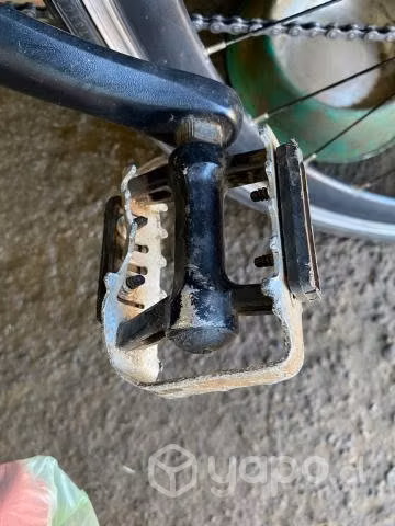 Bicicleta de Ruta Trinx Climber 1.0