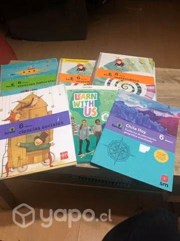 Libros 6 básico