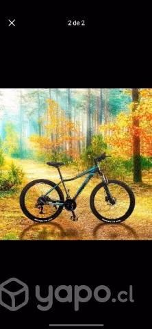 Mountain bike 27,5