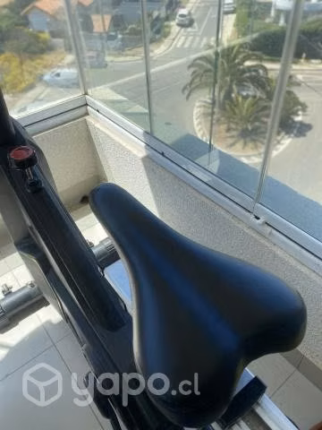 Bicicleta spinning profesional