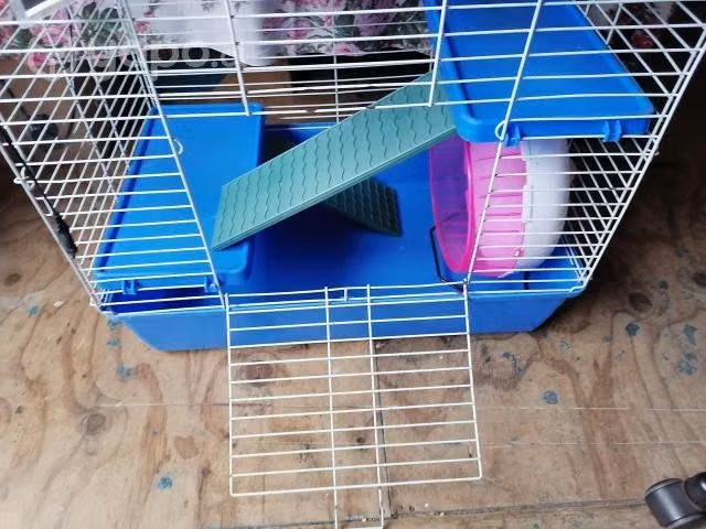 Jaula con ascesorios para mascota - Imagen 5