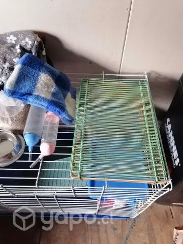 Jaula con ascesorios para mascota - Imagen 3