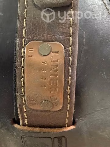 Cinturon arnes electrico
