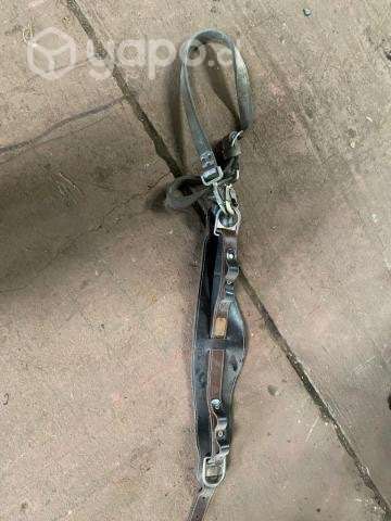 Cinturon arnes electrico - Imagen 3