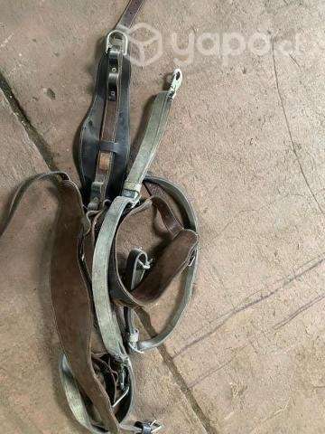 Cinturon arnes electrico - Imagen 2