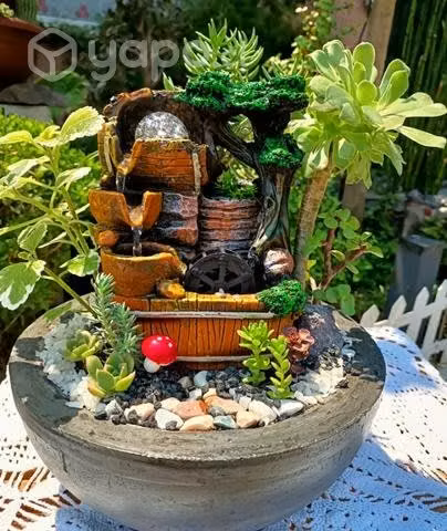 Plantas
