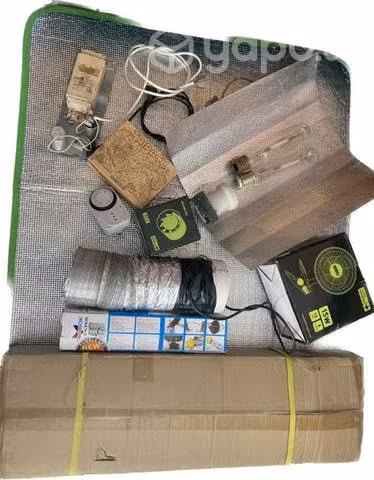 Indoor carpa cultivo