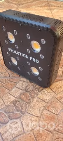 Indoor y led