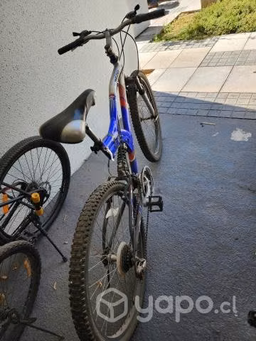 Bicicleta Lahsen - Imagen 4