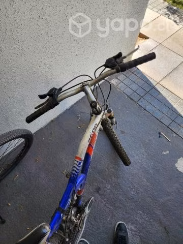 Bicicleta Lahsen - Imagen 2