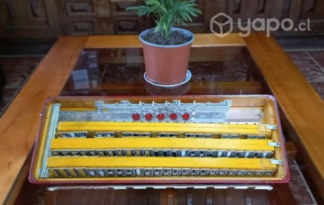 Hohner Arietta VlM voces Hohner atlantic