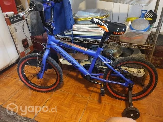 Bicicleta Aro 16