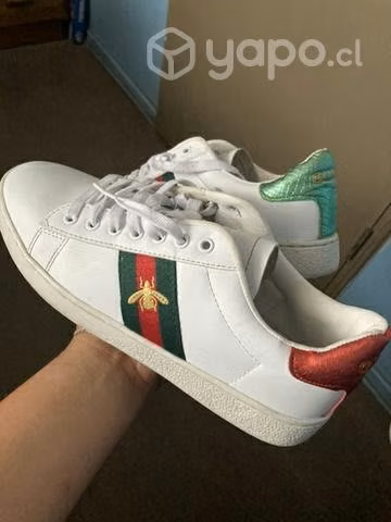Zapatillas gucci