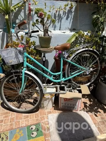 bicicleta