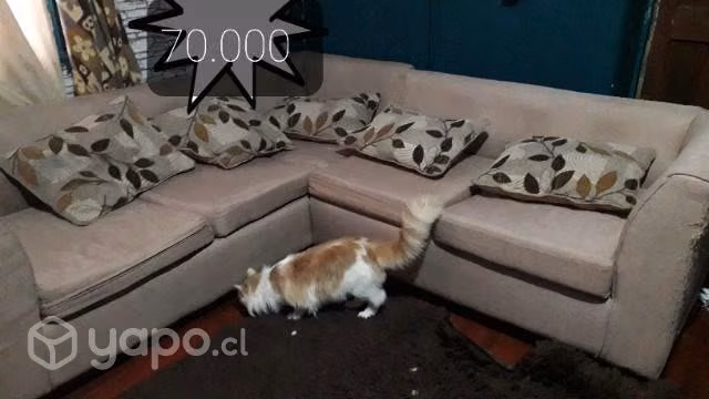 Living y tv 32 - Imagen 4