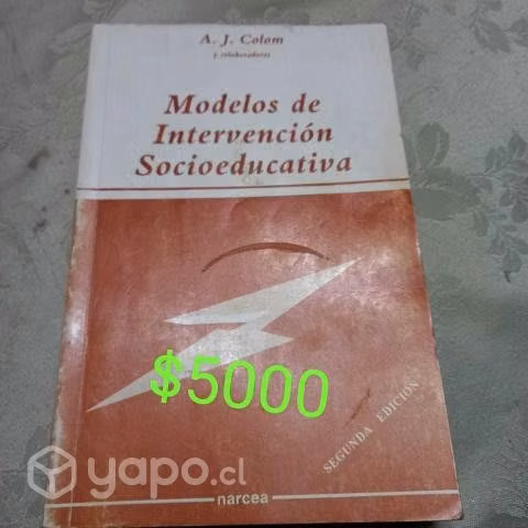 Modelos de intervencion socioeducativa