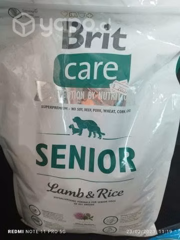 Brit care senior
