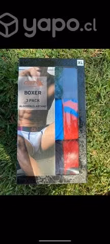 Boxer Cristiano Ronaldo