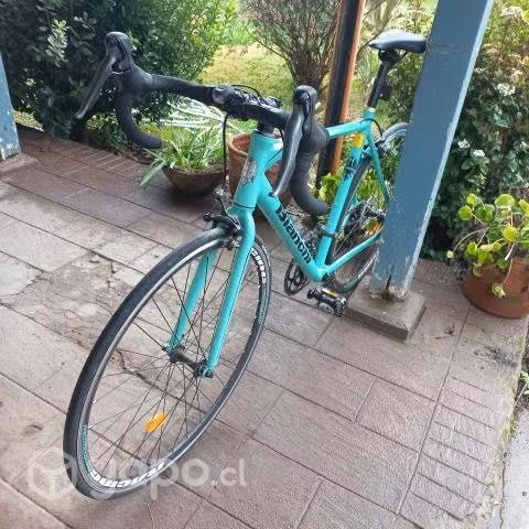 Bianchi Corsa SS Celeste L