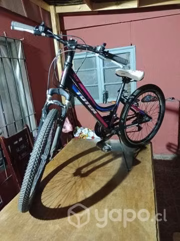 Bicicleta