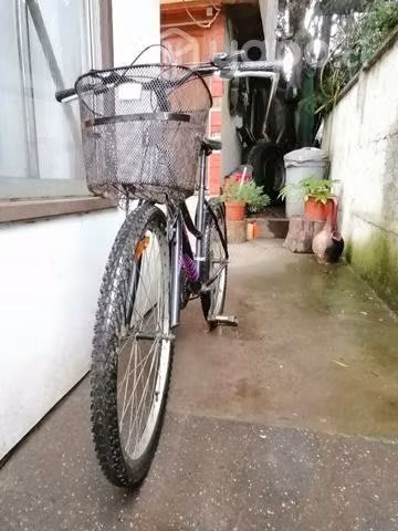 Bicicleta oxford mujer.