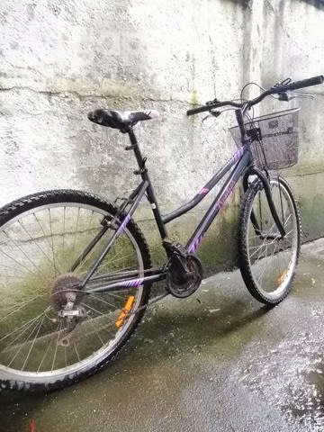 Bicicleta oxford mujer.