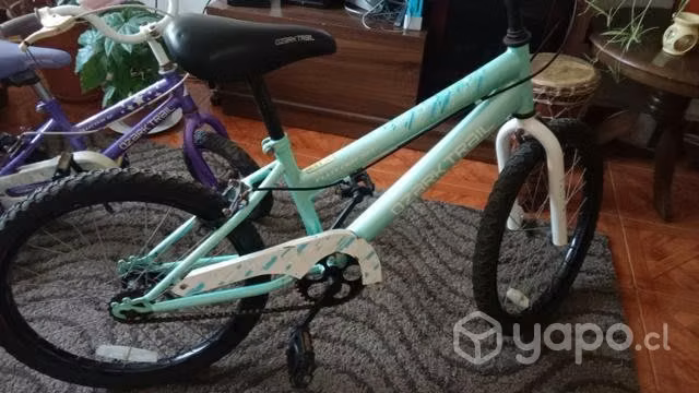 Bicicletas niñas - Imagen 2
