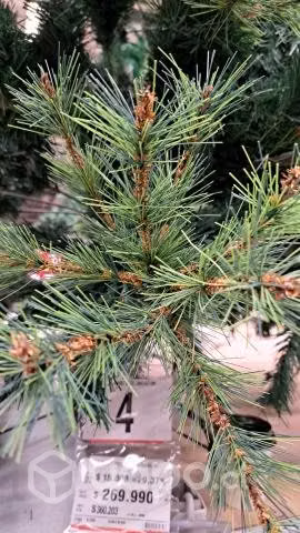 Árbol de Navidad
