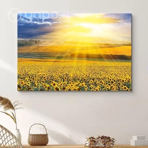 Cuadros Decorativos Girasoles