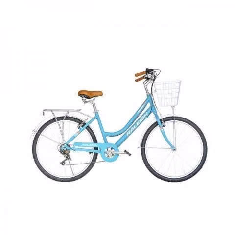 Bicicleta de paseo