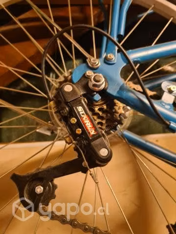 Bicicleta de paseo - Imagen 4