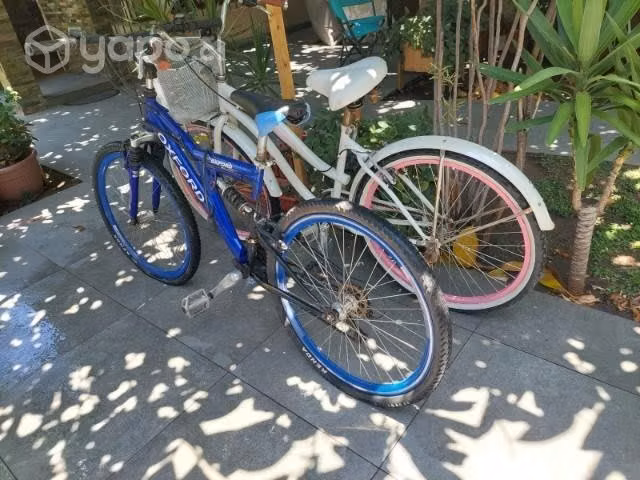 Bicicletas oxford - Imagen 2