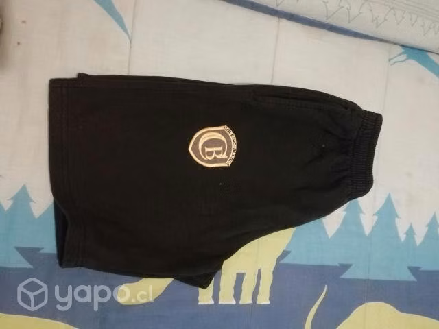 Uniforme Colegio Bulnes - Imagen 2